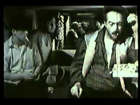 ასეთია ქურდი კაცის ბედი