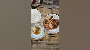 Bữa cơm 1 mình trong rừng có gì ăn nấy