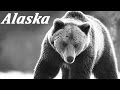 Wildlife of Alaska | Amazing Vintage Documentary | ca. 1959