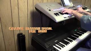 Orange Blossom Special (For Robin) chords