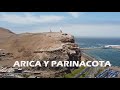 ARICA Y PARINACOTA - CHILE - 4K - chilenoenruta.com 📍