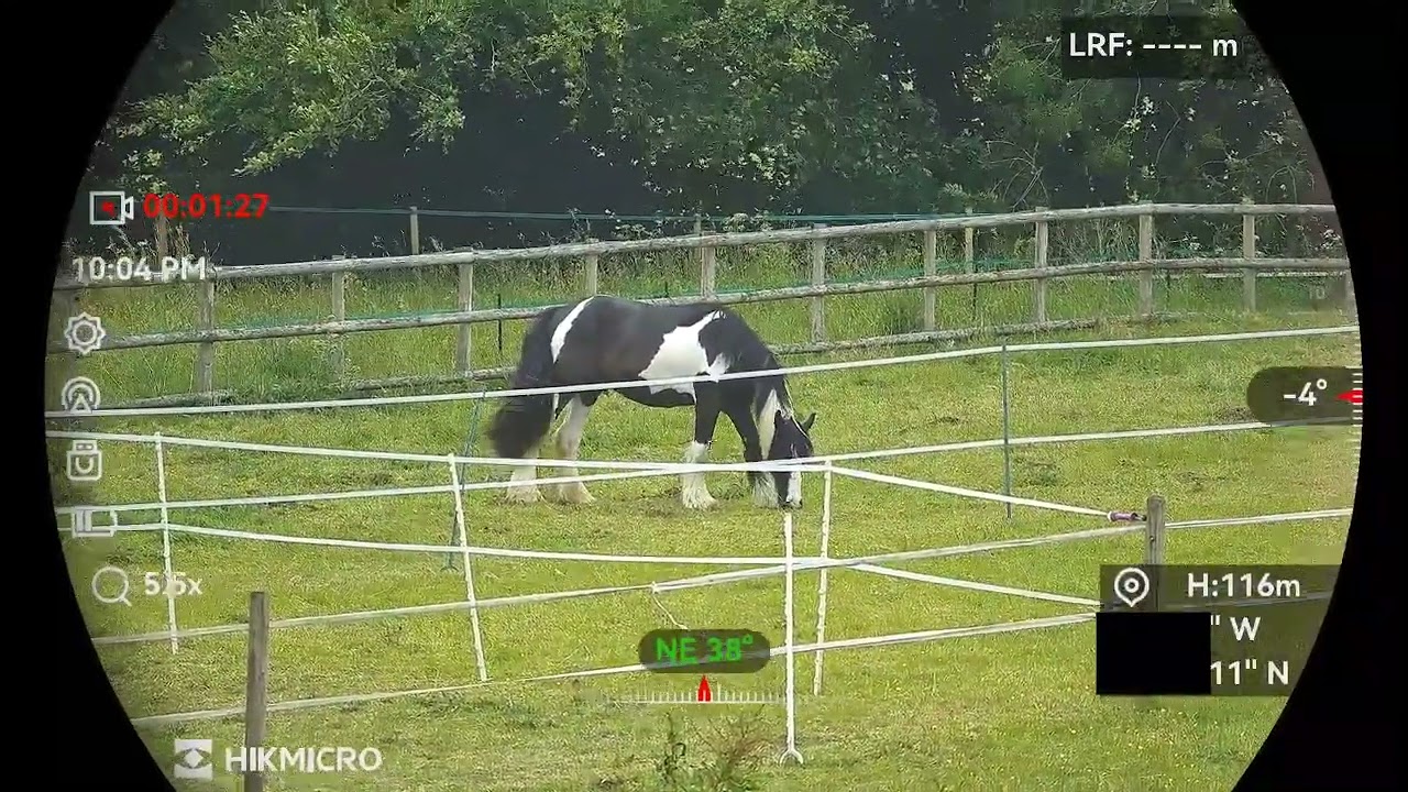 Hik Habrok HQ50 против Nocpix Quest H50R