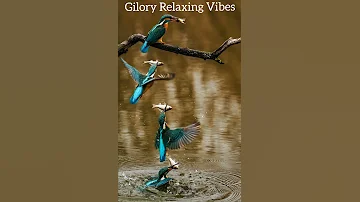 Relaxing Birds Chirping Sound, Yoga Music, Meditation Music. Morning Relaxing Music, Soothing Music