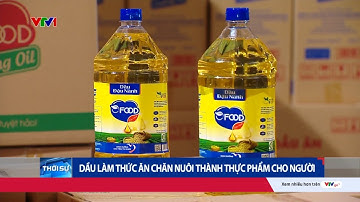 Kinh hoàng dầu dùng cho thức ăn chăn nuôi nhưng lại được biến thành dầu ăn cho người | VTV24