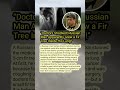 Doctors Stunned: Russian Man Found With a Fir Tree Growing in His Lung