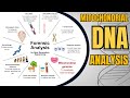 Mitochondrial DNA Analysis: Unlocking Genetic Secrets | Maternal DNA & Forensic Testing