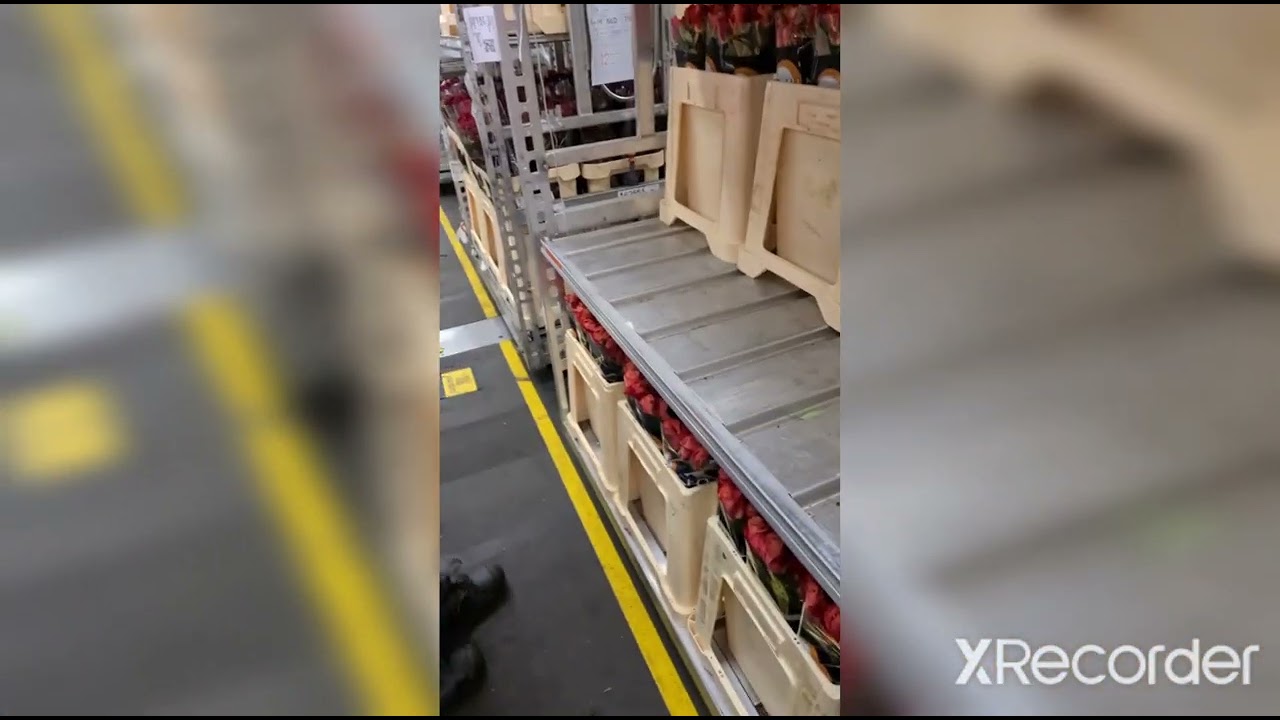 Werkprocessen als logistiek medewerker bij Royal FloraHolland