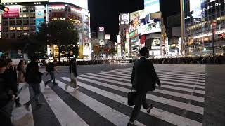 2019-11-16 Japan Vacation Day 11-Shinjuku Crossing