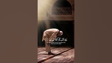 سورة الذاريات {الآية 20} بصوت الشيخ إسلام صبحي ❤️💖