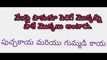 apdsc 3rd class EVS new textbook most  important points part-1✍️✍️✍️