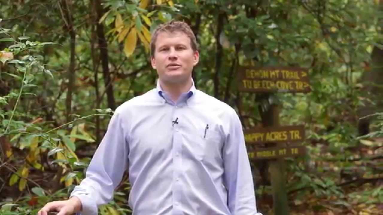 97 Spring Hollow Lane Brevard, NC 28712