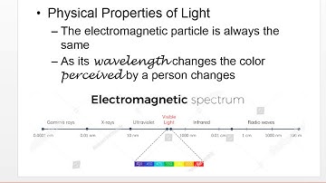 Sensation & Perception Visual Perception