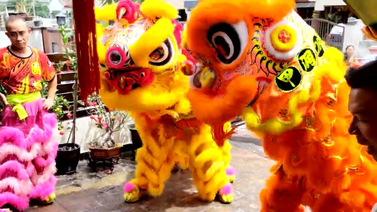 Lion Dance Video 18/2/2026