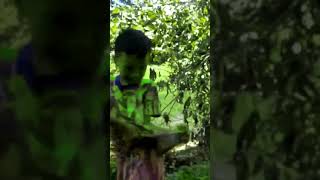 Kid hulk - hero kid #shorts
