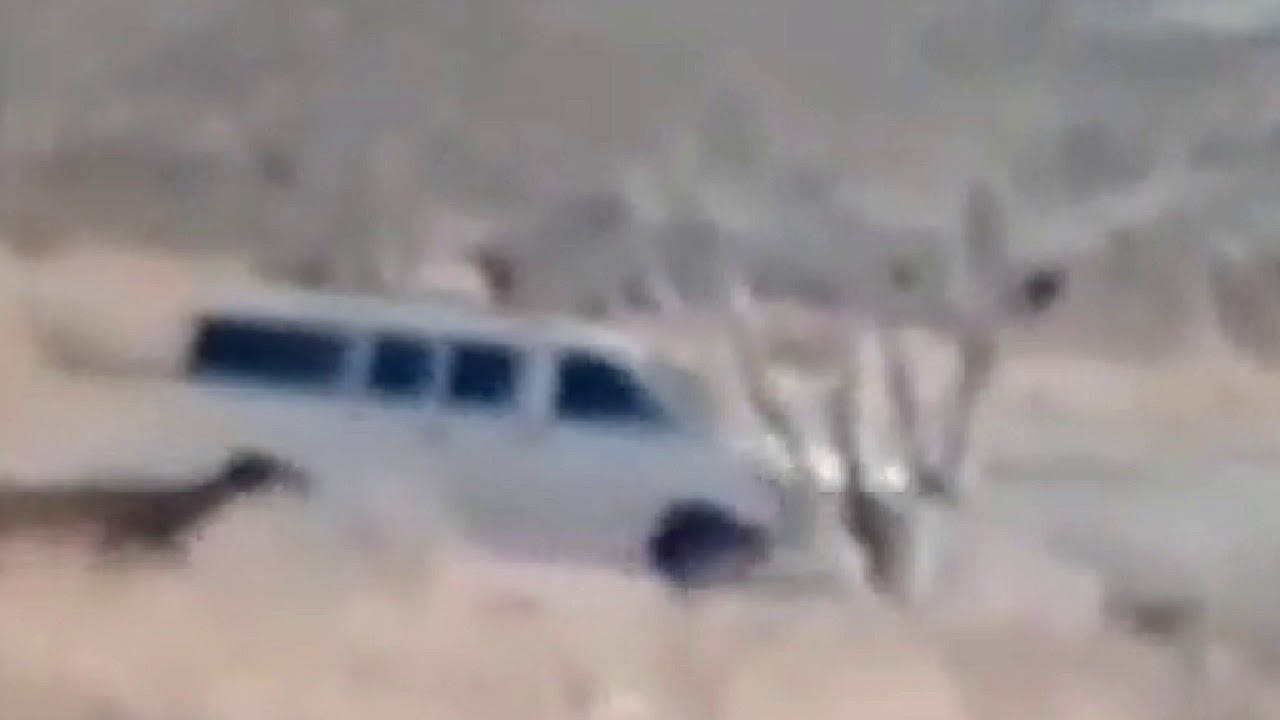 Orson & Orrin Case Update! Footage From The Neighbors Security Cam!