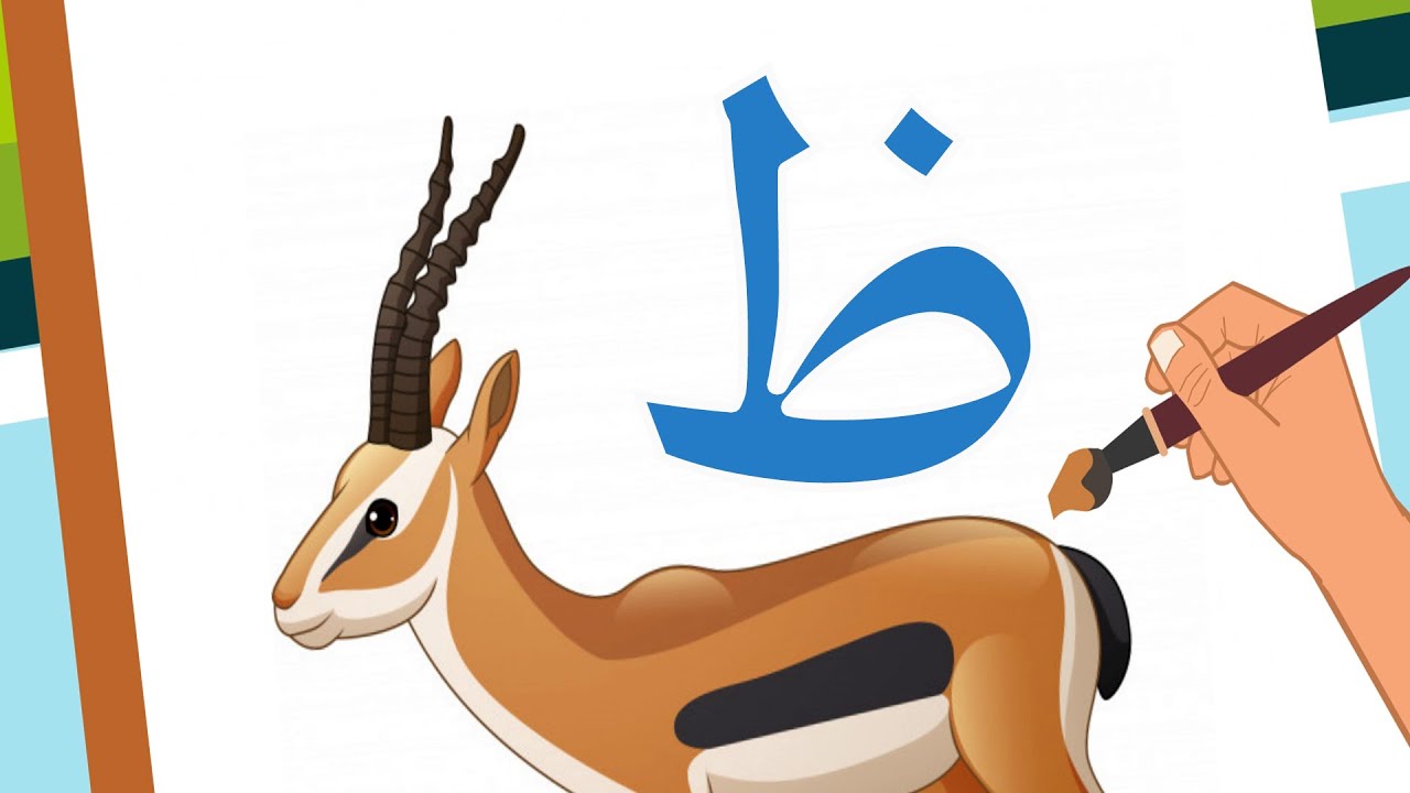 حرف الظاء - ظاء مثل ظبي - Arabic alphabet for kids zaa' - ẓāʾ - YouTube