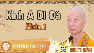 Kinh A Di Đà phần 1 - Hòa Thượng Thích Trí Quảng