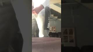 Das1- Smashen A Blackhawk