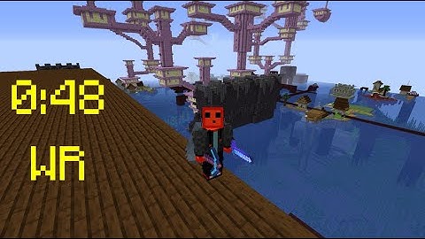 [WR] Minecraft beaten in 48.993s (iplpwssrsg)