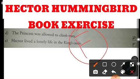 Hector Hummingbird || Book Exercise #EduTechTeam