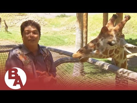 bruno mars count on me Manny the Movie Guy: Disney's 