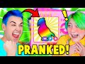 I PRANKED My *CRUSH* For 24 Hrs Then *SURPRISED HER* With Her DREAM PET! (she cried) Adopt Me Roblox