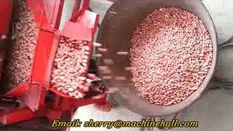 How Do Peanut Shelling Machines Work? - Peanut Sheller