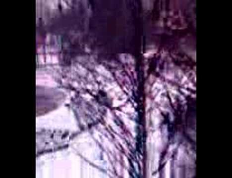 2008年的第一場雪の淮南20080113