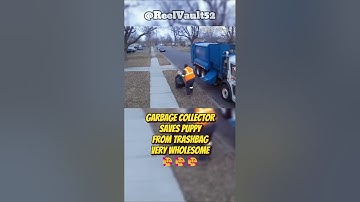 Garbage Collector Saves Puppy Thrown in a Trash Bag 😨😱#shorts #wholesome #animals #sad