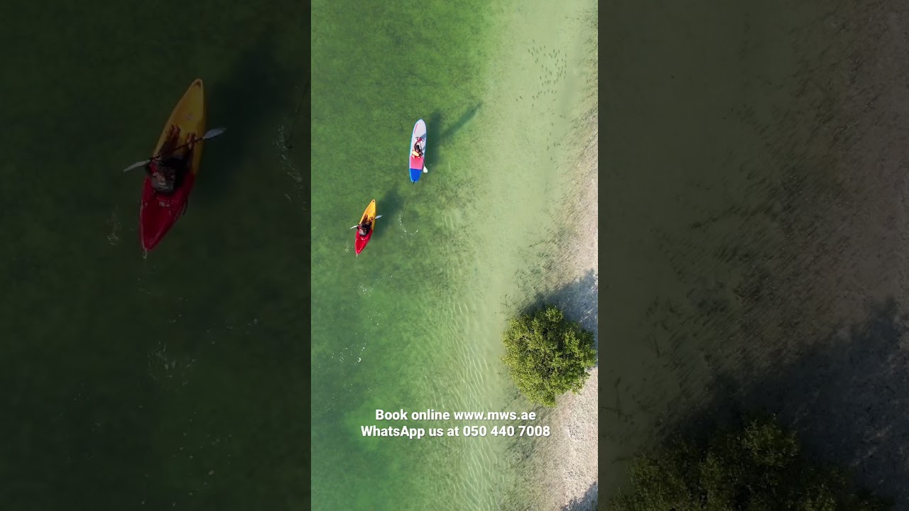 Kayak and SUP at Jubail Mangrove Park! 