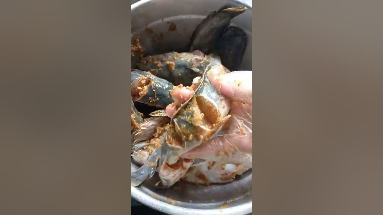 IKAN LELE BUMBU KETUMBAR‼️