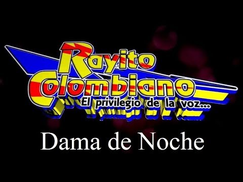 Rayito Colombiano "Dama de Noche" (Letra)