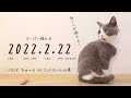 【いなばペットフード ちゅ〜る pHコントロール】スーパー猫の日【Vtuber 2022】