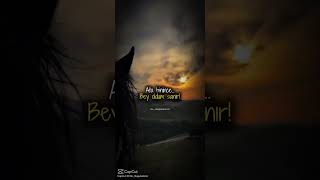 Cahil ata binince bey oldum sanır #keşfet #youtubeshorts #love #viral #motivation #shortvideo #short