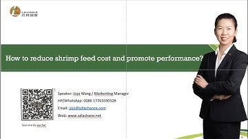 Shrimp feed｜Cholesterol｜How to reduce shrimp feed cost when you use cholesterol?｜Part 3