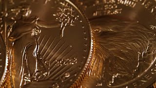 BRICS Makes Headway on Dedollarization, Impact to Gold Remains Uncertain