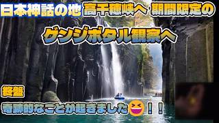 【高千穂の夜】ゲンジボタルの光に癒される|宮崎県の自然スポット #宮崎県#高千穂#ゲンジボタル#ホタル観賞#蛍