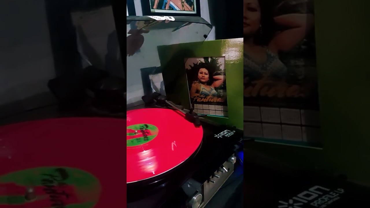 The Panturas - Sunshine 