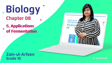 Biology Class 10 | Chapter 8 | Topic 5 | Applications of Fermentation | in urdu | tutoria.pk