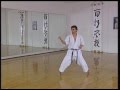Hangetsu Efthimios Karamitsos Karate Kata Shotokan