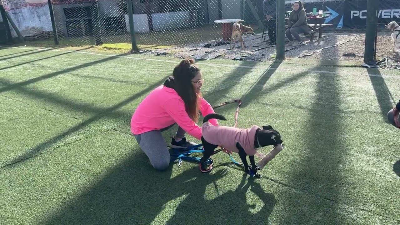 Iniciación de juego predatorio - con Gala