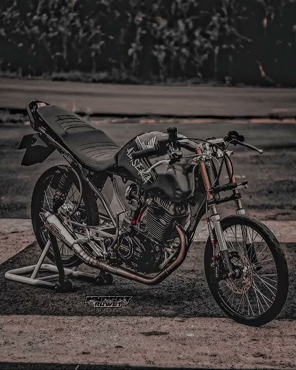 kata kata herex storywa tiger trondol #herex #shorts #storywa