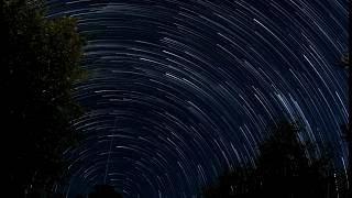 1080p HD Starry Night Loop (8 Hours) | Natural Sleep Aid • No Music • Continuous Night Chorus 🦗💤