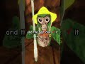 letting yall nickname me #gorillatag #gorillatagquest #vr #gtag