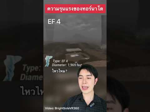 วีดีโอ: พายุทอร์นาโดที่สร้างความเสียหายในสวน - วิธีการช่วยชีวิตพืชหลังพายุทอร์นาโด