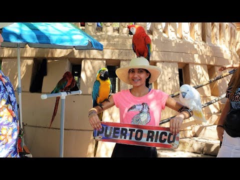 Family Fun Vacation Trip Vlog!