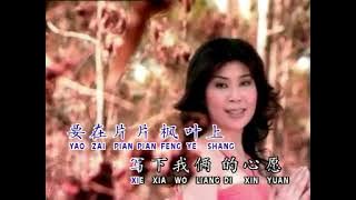 FENG YE QING 风叶情 KARAOKE R/L FEMALE