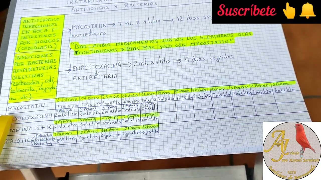 Tratamiento anti hongos y anti bacterias