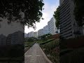 Así luce el PARQUE BICENTENARIO MIRAFLORES LIMA PERU 2024