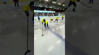 Intensive summer hockey camp Sweden Malmo 7/2023